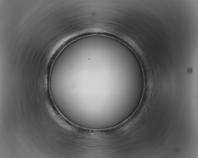 X0000116830934200912241223