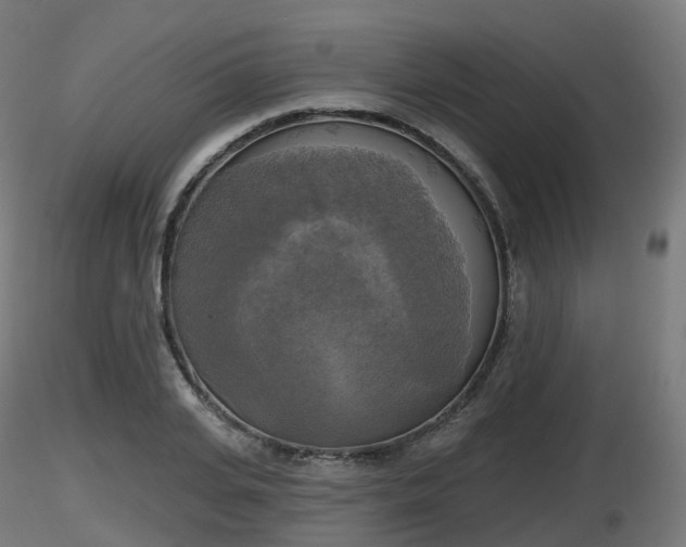 X0000116830935200912241223