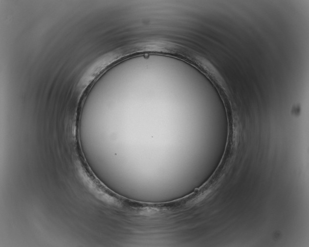 X0000116830938200912241224