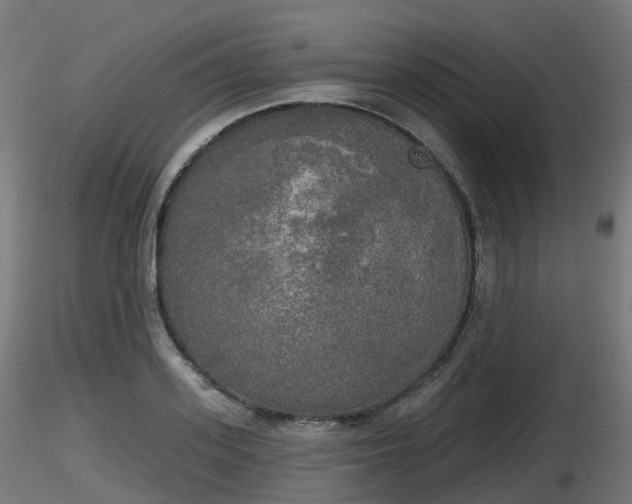 X0000116830939200912241224