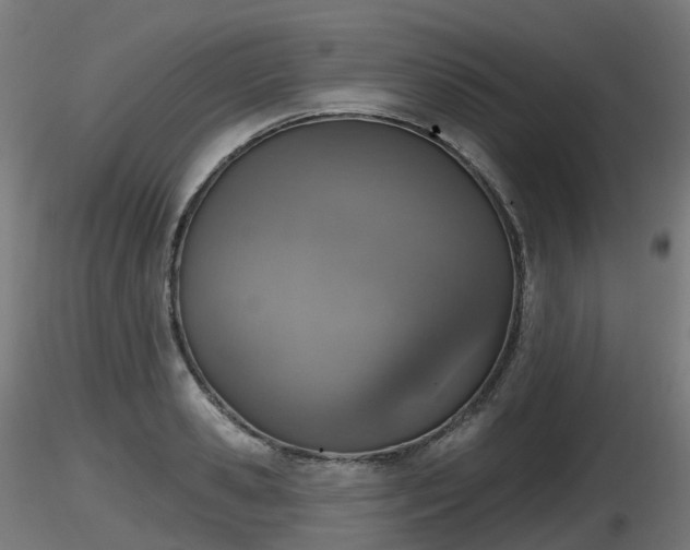 X0000116830941200912241224