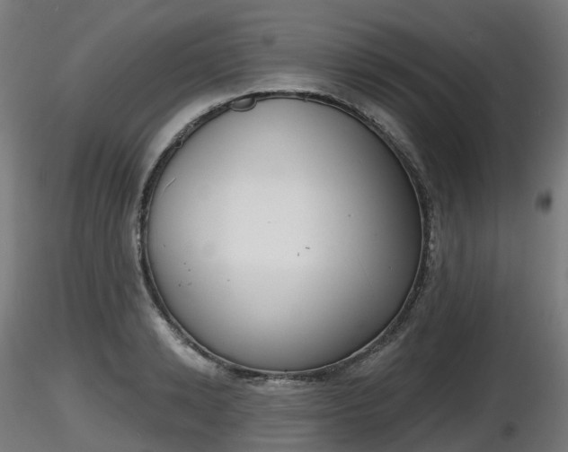 X0000116830942200912241224