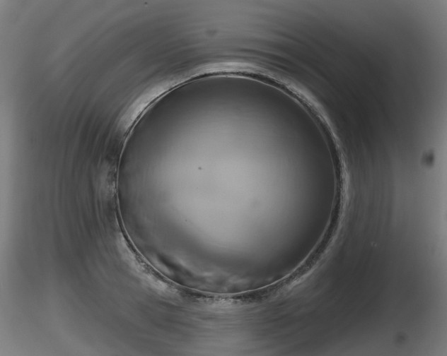 X0000116830945200912241224