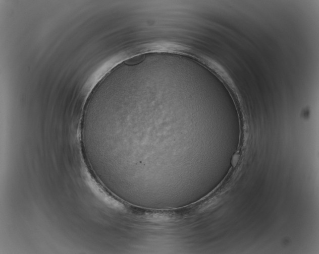 X0000116830946200912241224