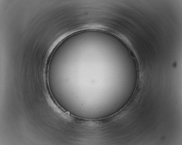 X0000116830947200912241224