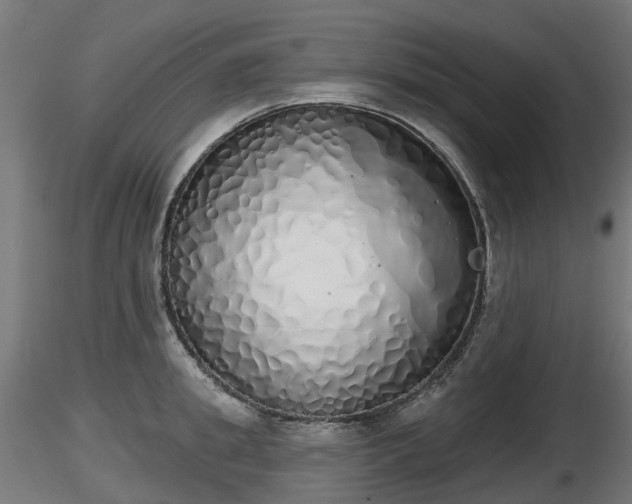 X0000116830949200912241224