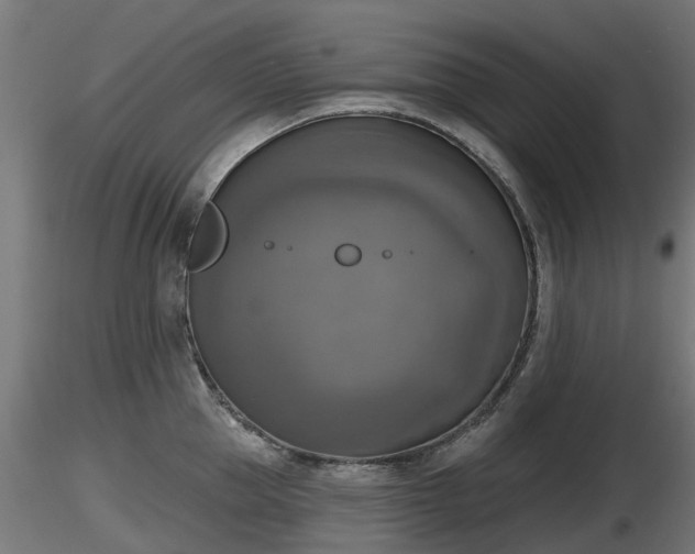 X0000116830953200912241224