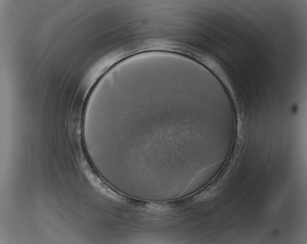 X0000116830954200912241224
