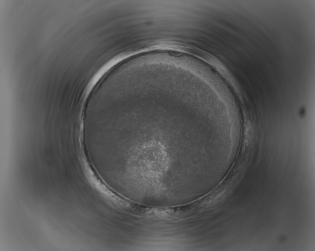 X0000116830955200912241224