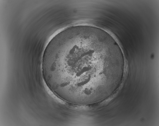 X0000116830957200912241224