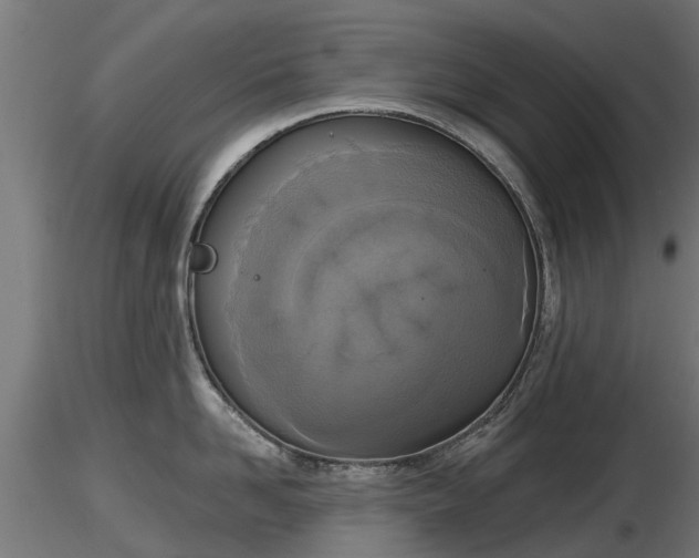 X0000116830958200912241224