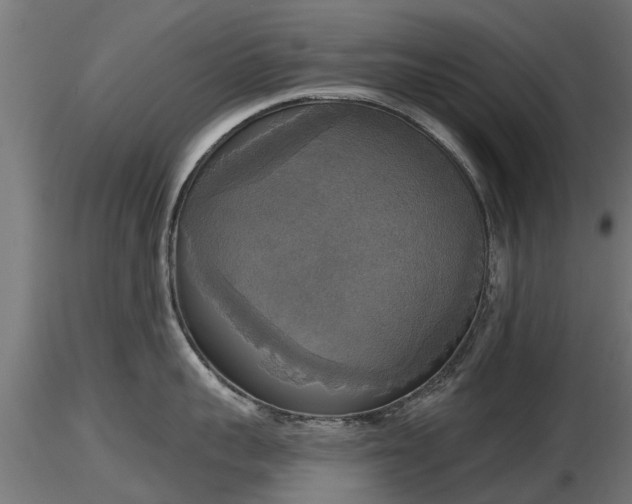 X0000116830959200912241224