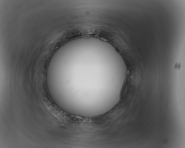 X0000116830961200912241223