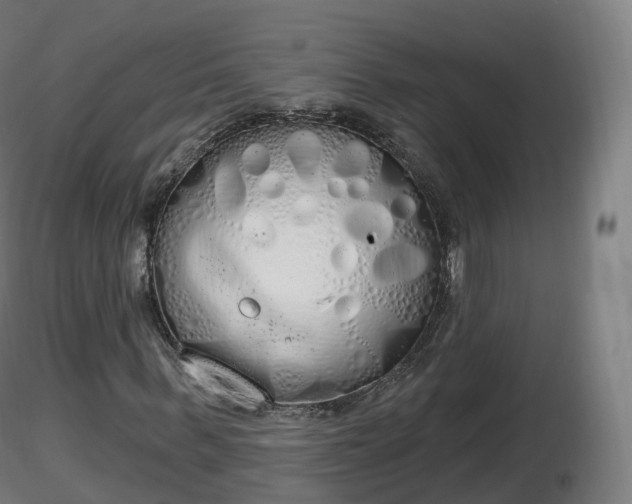 X0000116830963200912241223