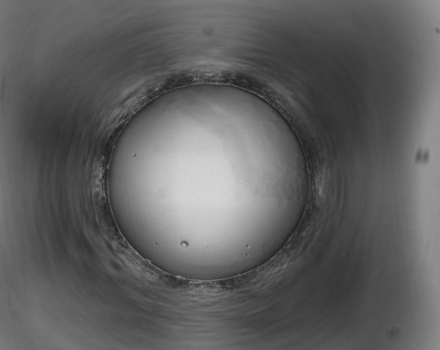X0000116830964200912241223