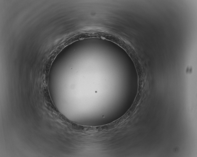 X0000116830965200912241223