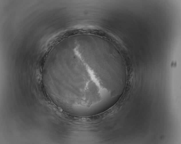 X0000116830966200912241223
