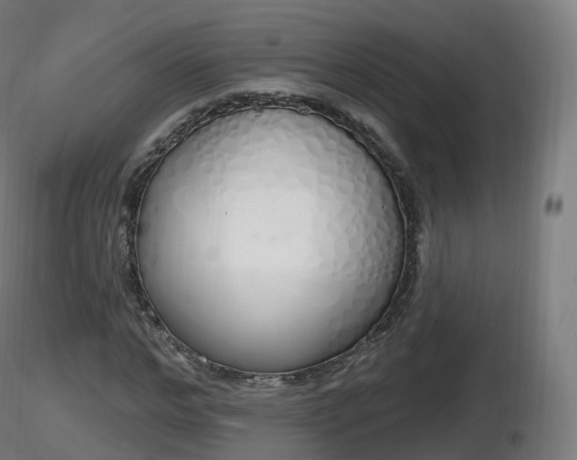 X0000116830968200912241223