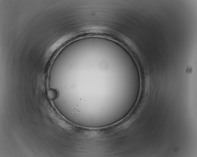 X0000116830970200912241223