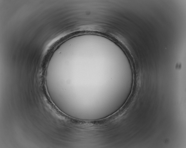 X0000116830971200912241223