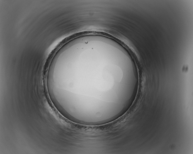X0000116830972200912241223