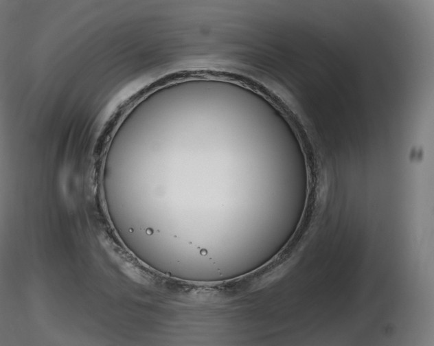 X0000116830974200912241223