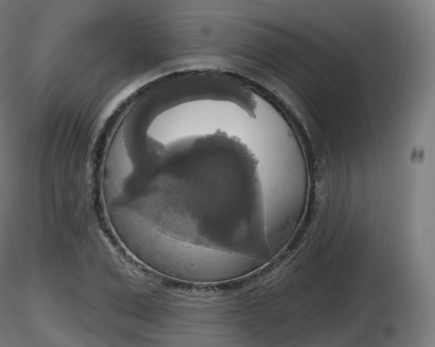X0000116830975200912241223