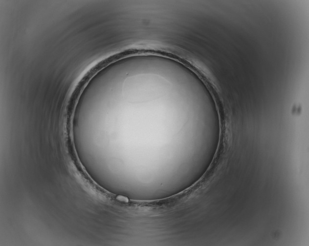 X0000116830976200912241223
