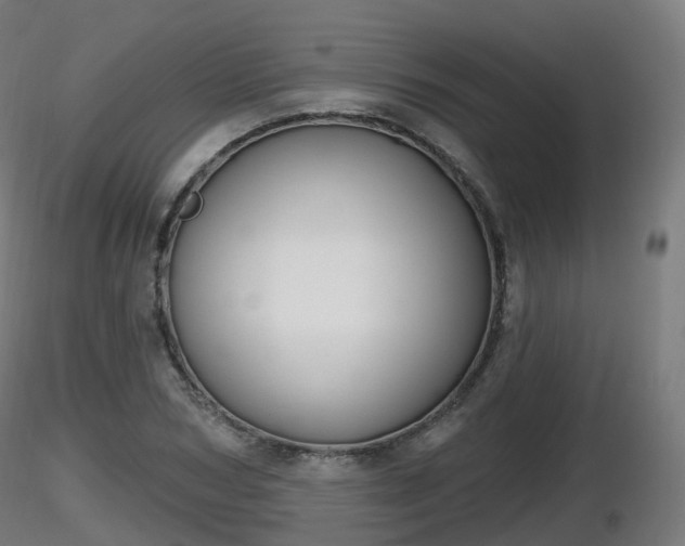 X0000116830978200912241223