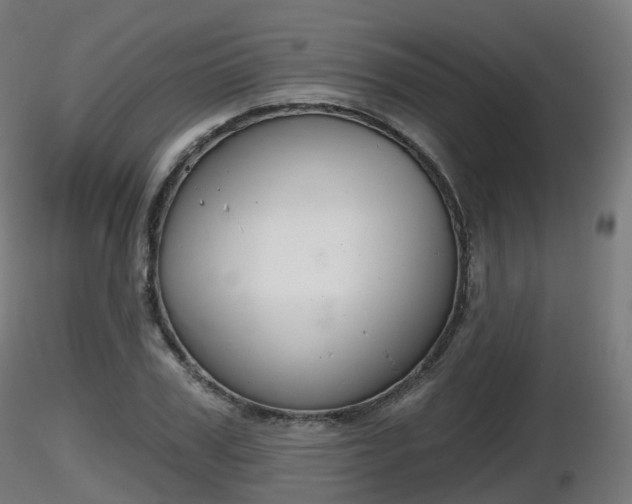 X0000116830979200912241223