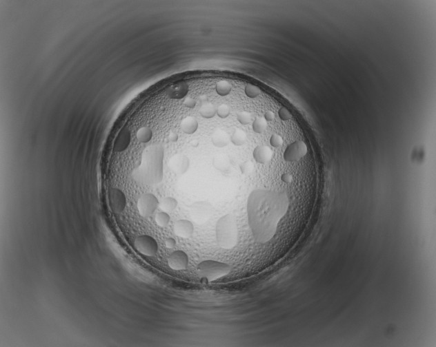 X0000116830980200912241223