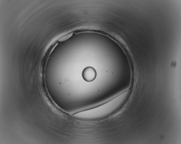 X0000116830981200912241223