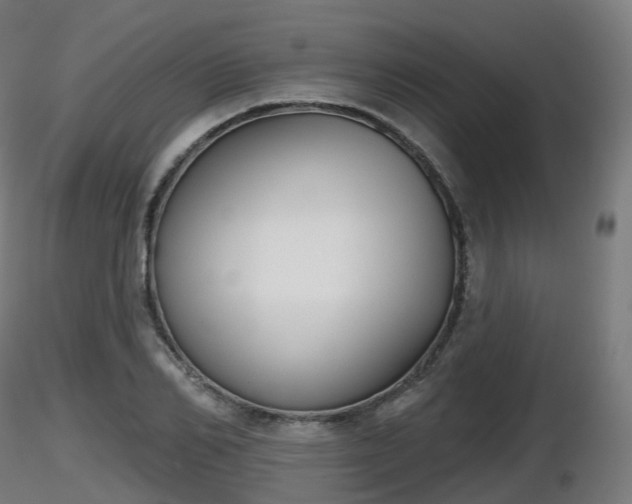X0000116830982200912241223