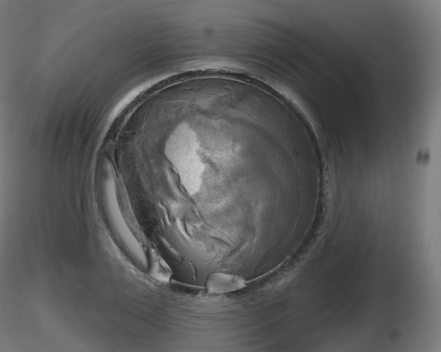 X0000116830983200912241223