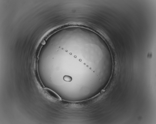 X0000116830984200912241223