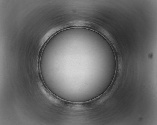 X0000116830986200912241223