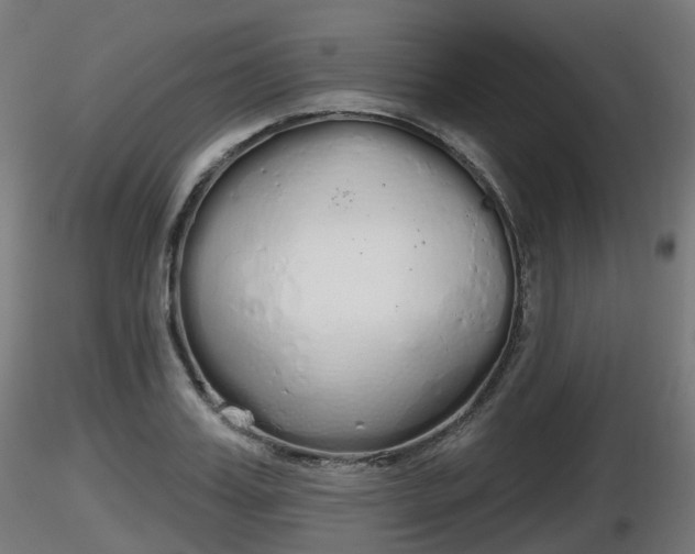 X0000116830987200912241223