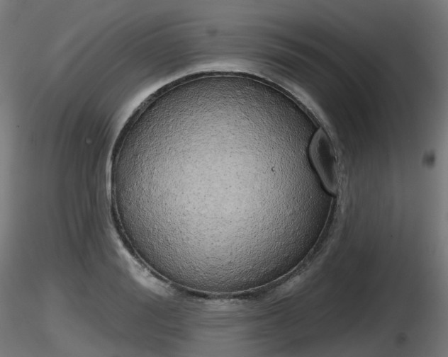 X0000116830988200912241223