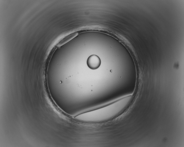 X0000116830989200912241223