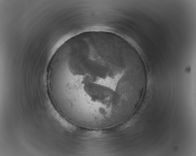 X0000116830990200912241223