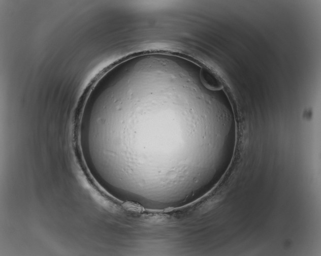 X0000116830991200912241223
