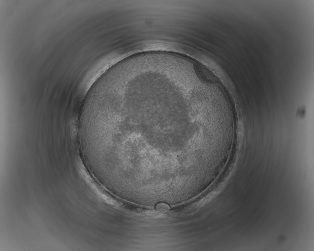 X0000116830993200912241223