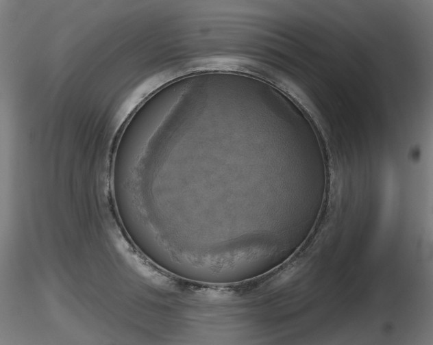 X0000116830994200912241223
