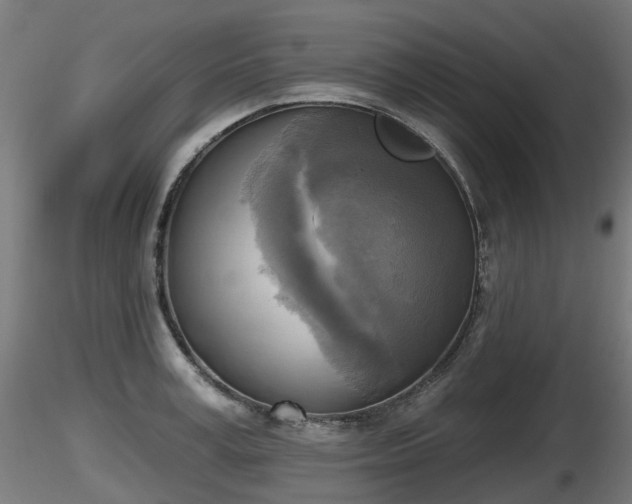 X0000116830995200912241223
