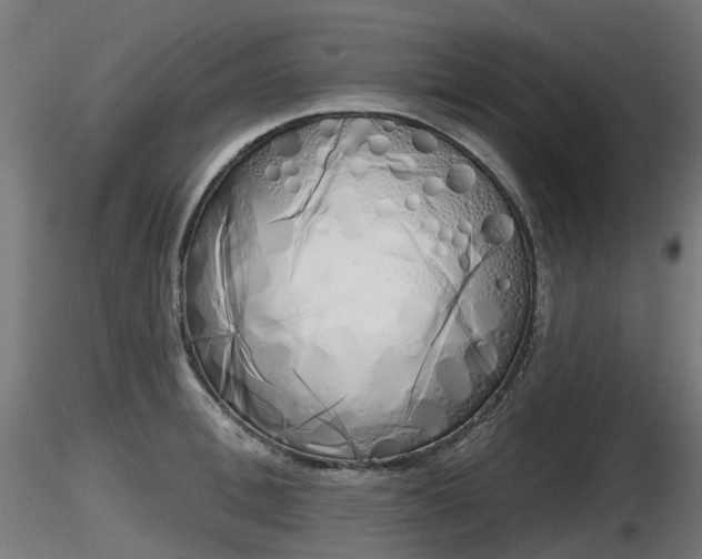 X0000116830996200912241223