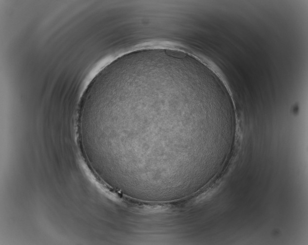 X0000116830997200912241223