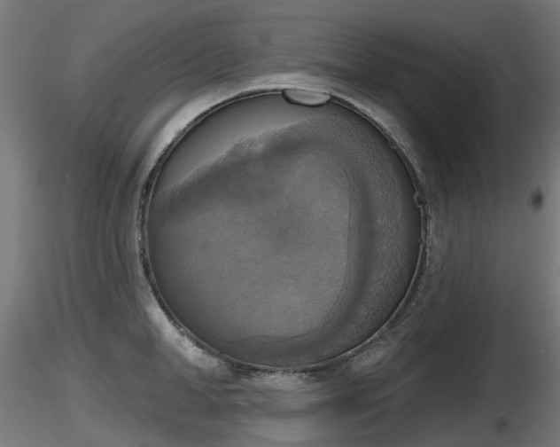X0000116830998200912241223