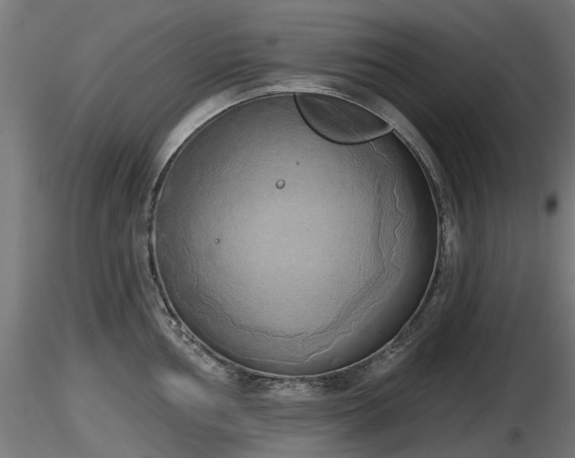 X0000116831002200912241223