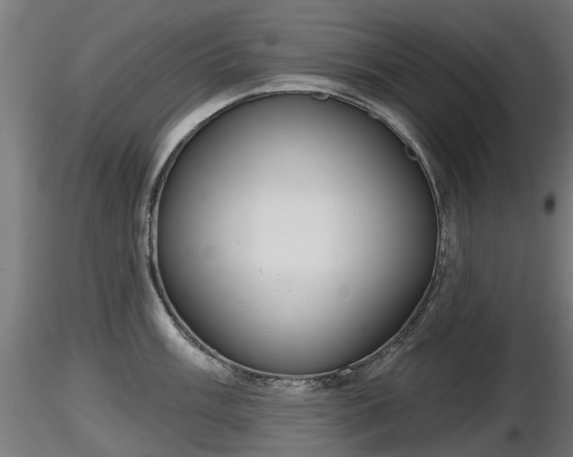 X0000116831003200912241223
