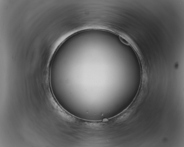 X0000116831004200912241223